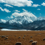 Steven Jan Travelogue Photographer China