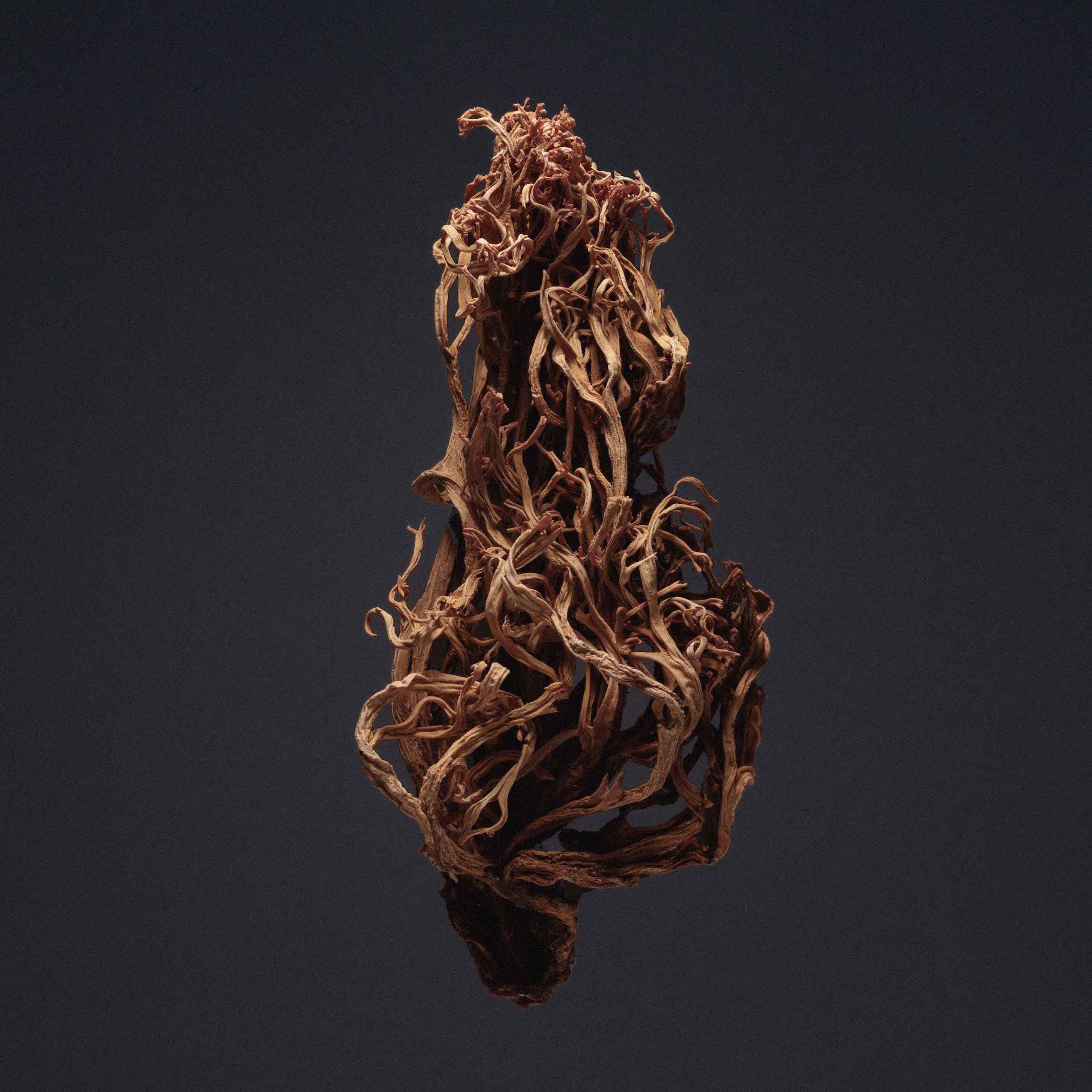 Description image 7