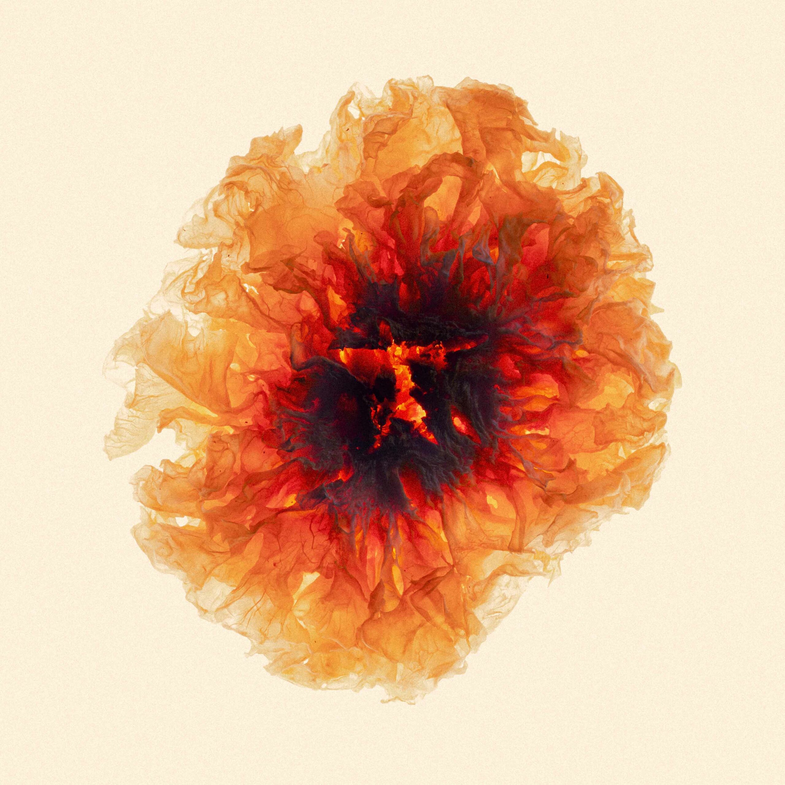 Description image 7