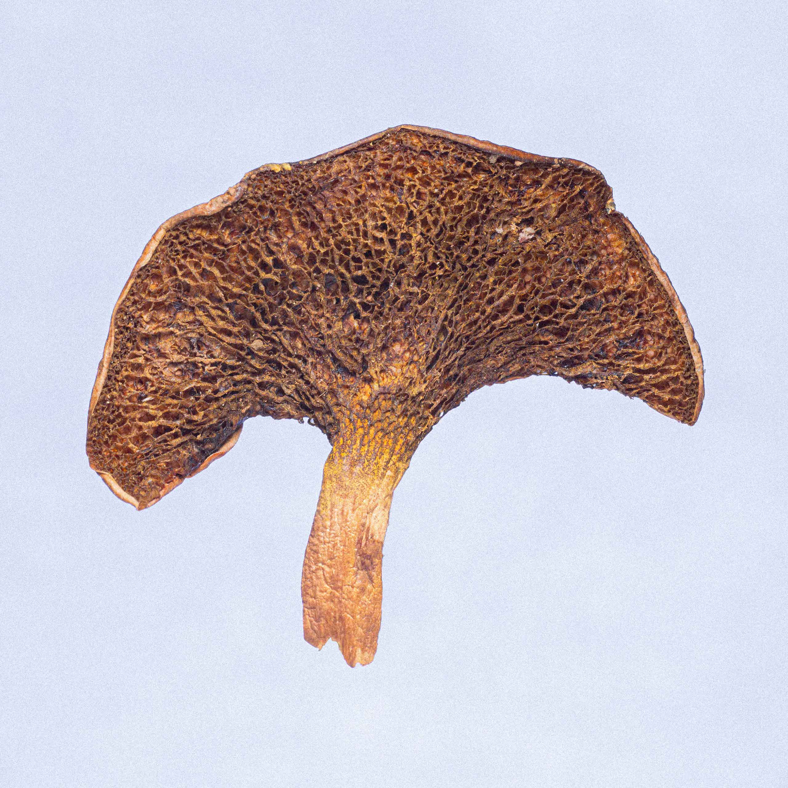 Description image 3