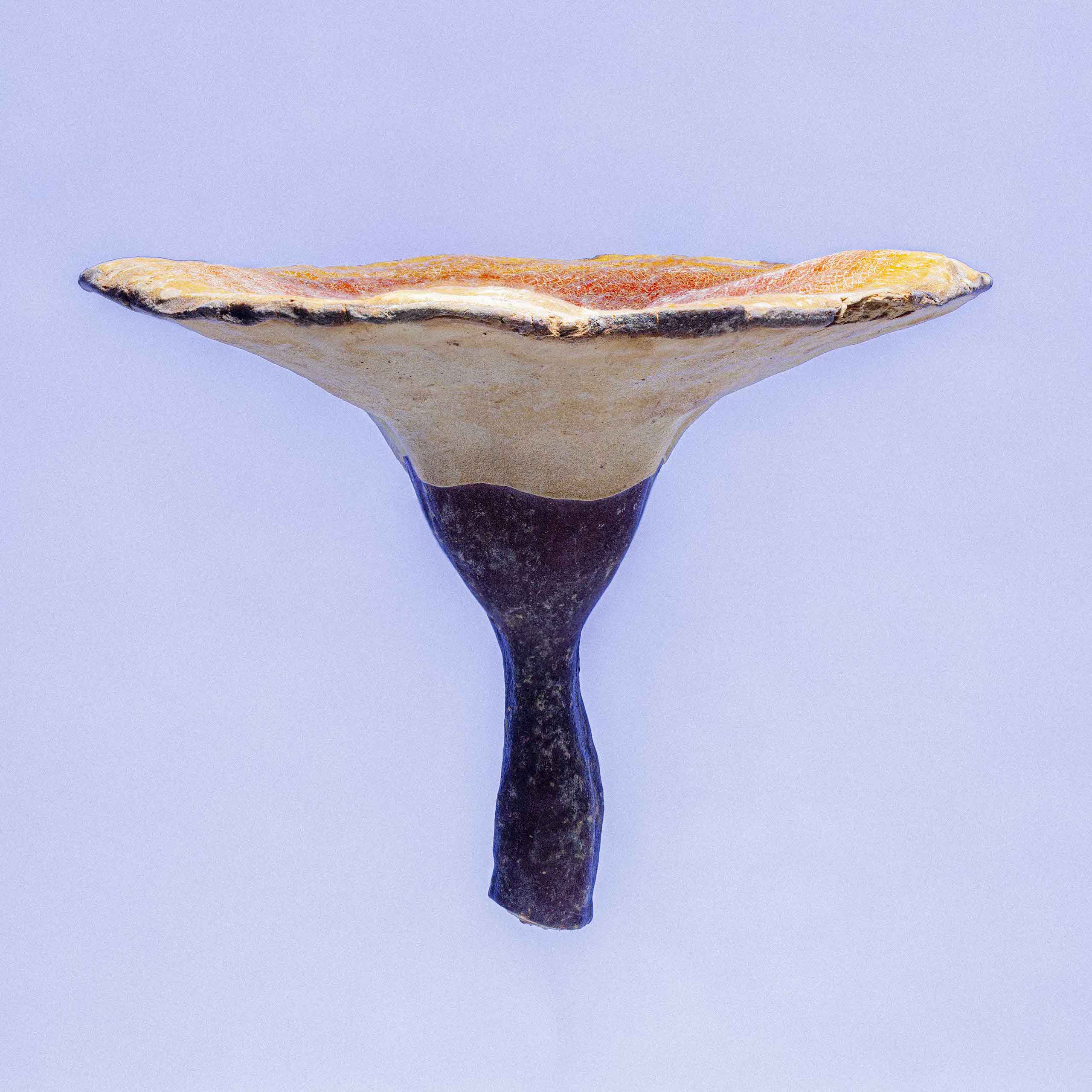 Description image 7