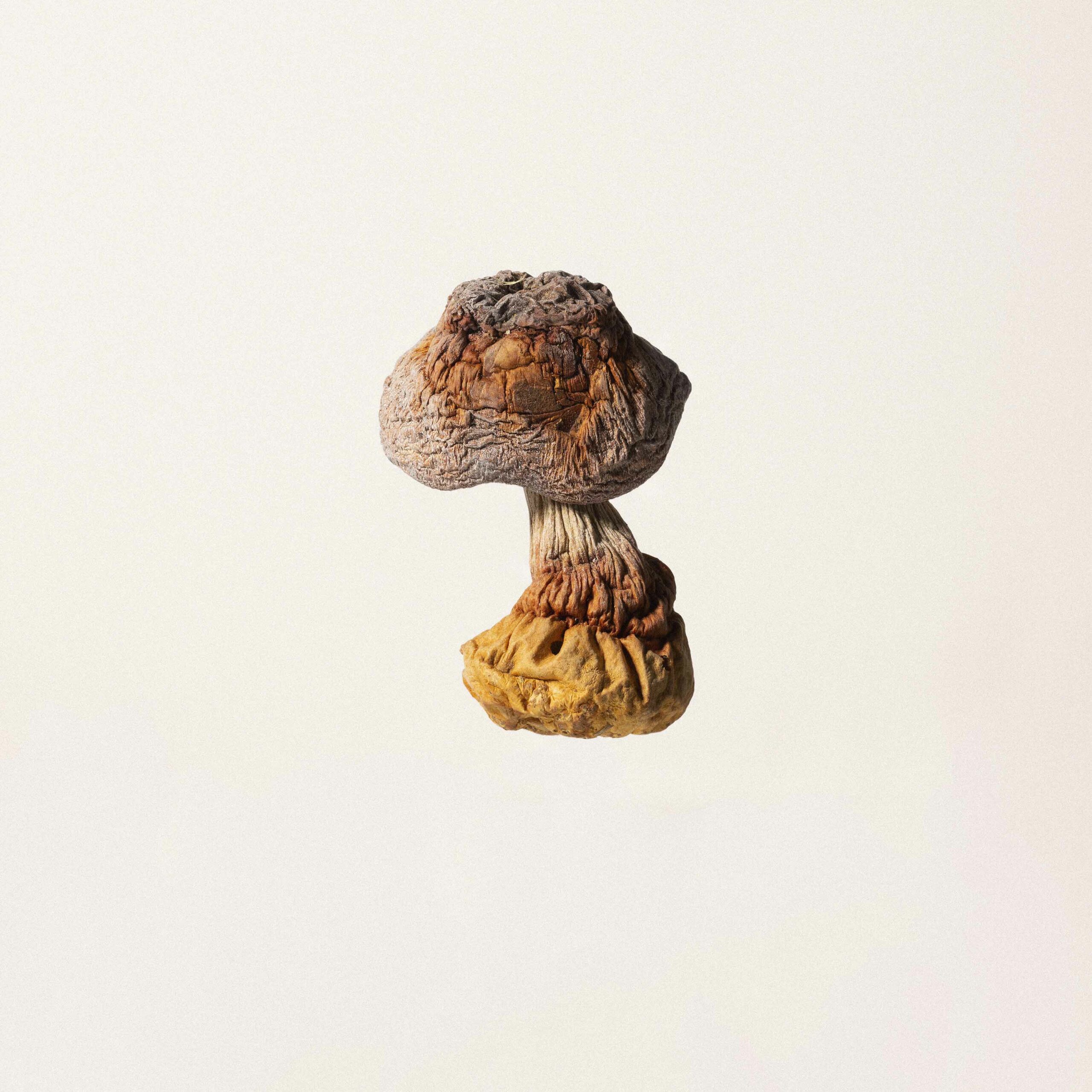 Description image 4
