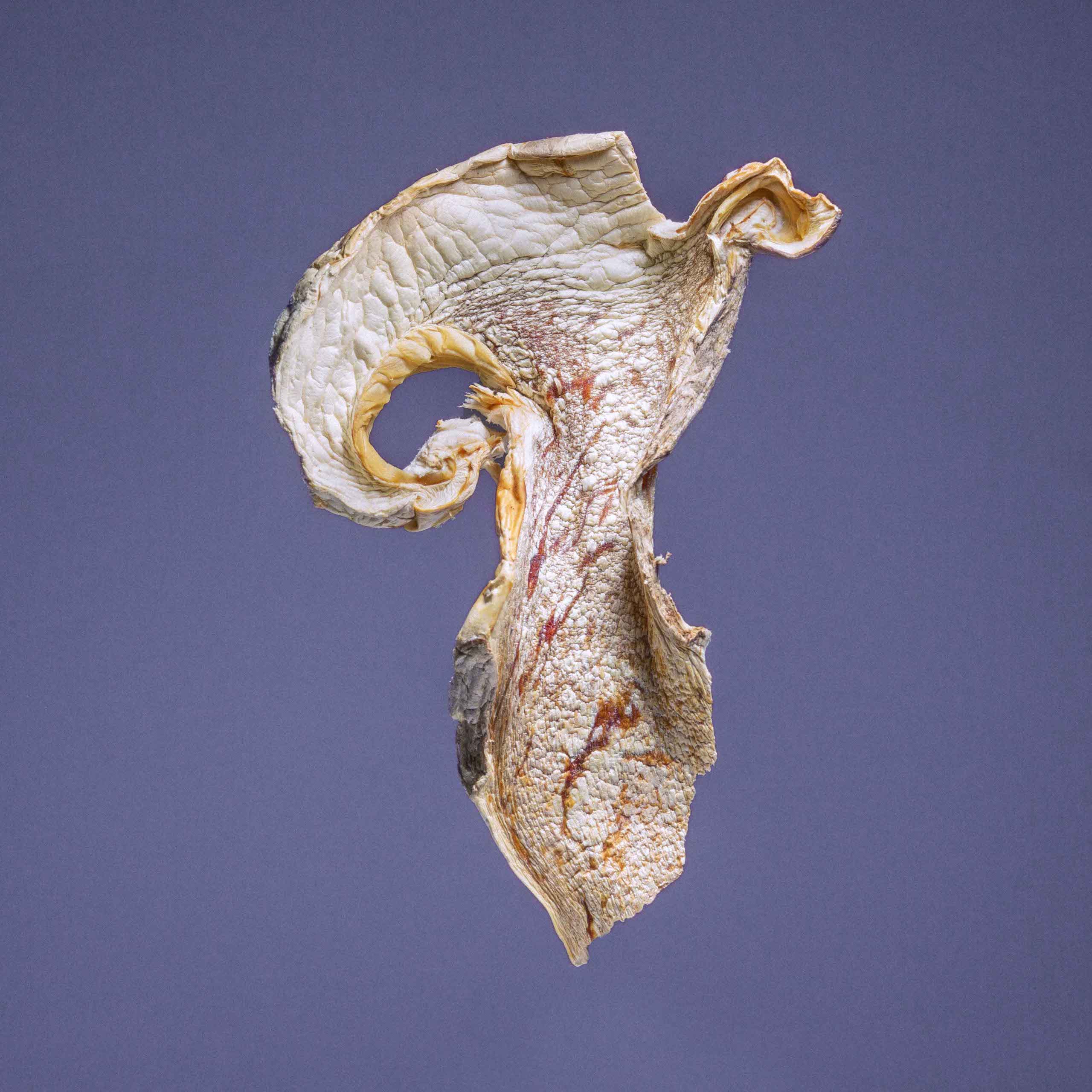 Description image 7
