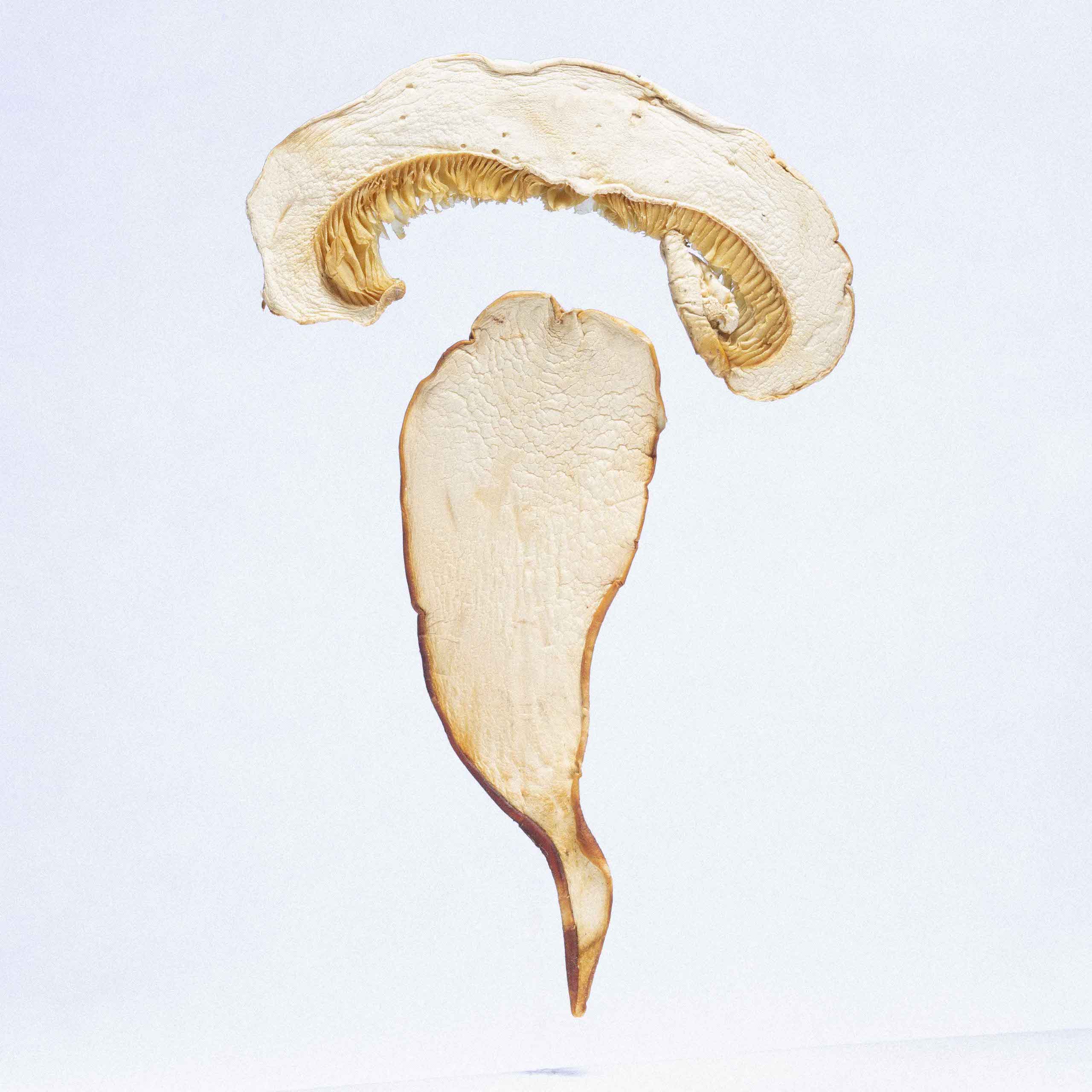 Description image 4