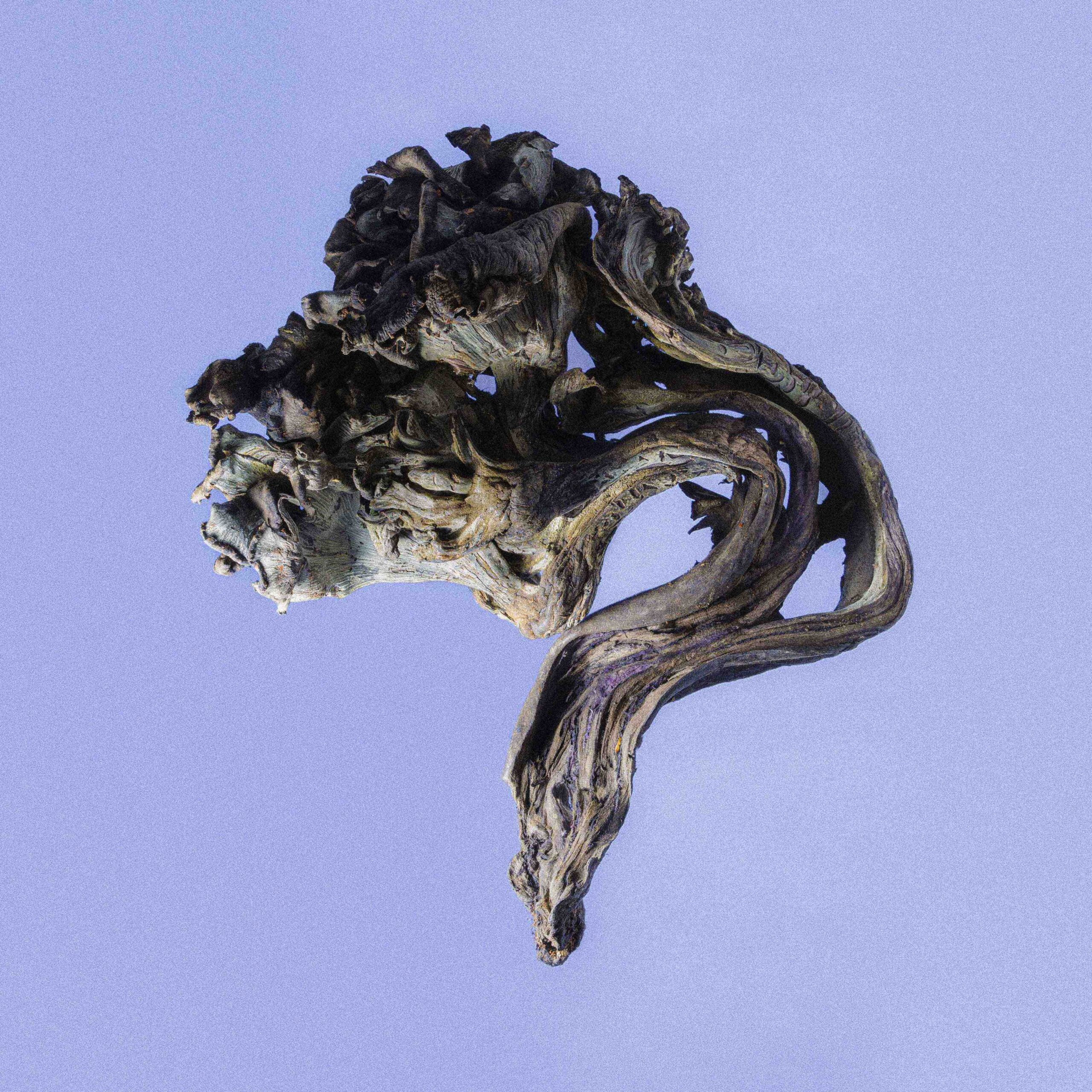 Description image 7